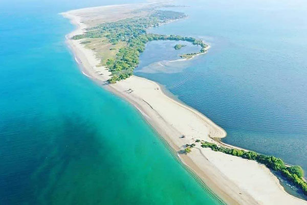 Vankalai Bird Sanctuary